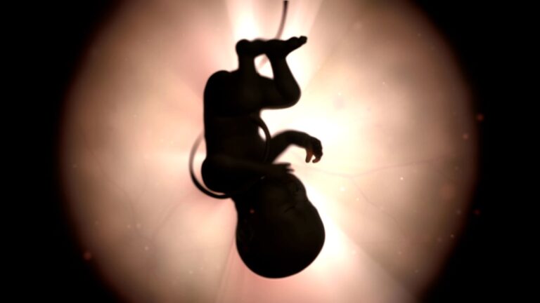 f86c19ed73684938b3018d441f7bf486