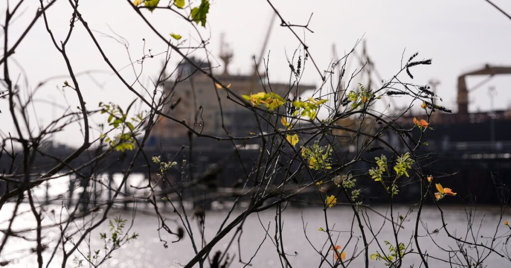 07e6eca78e634b3991de8adffcc6252f