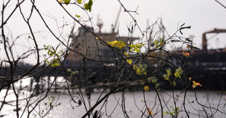 07e6eca78e634b3991de8adffcc6252f