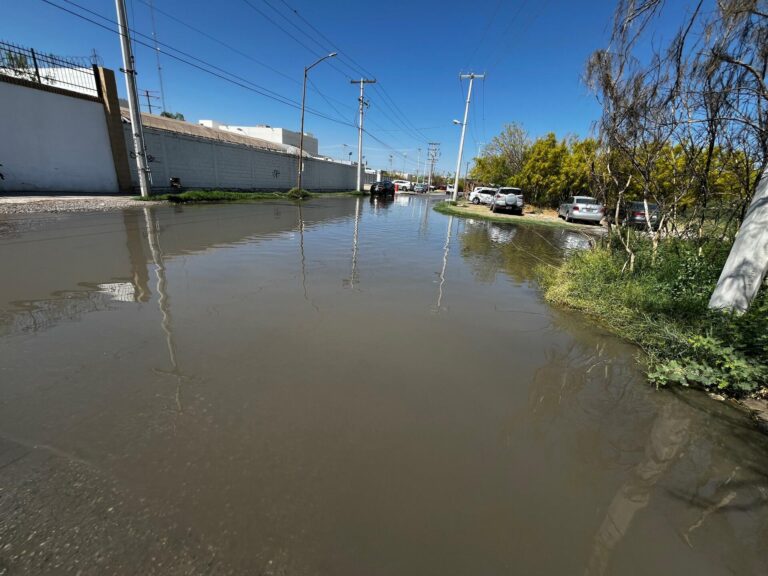 17542dfe0a07425f80ebd795b4e9f172