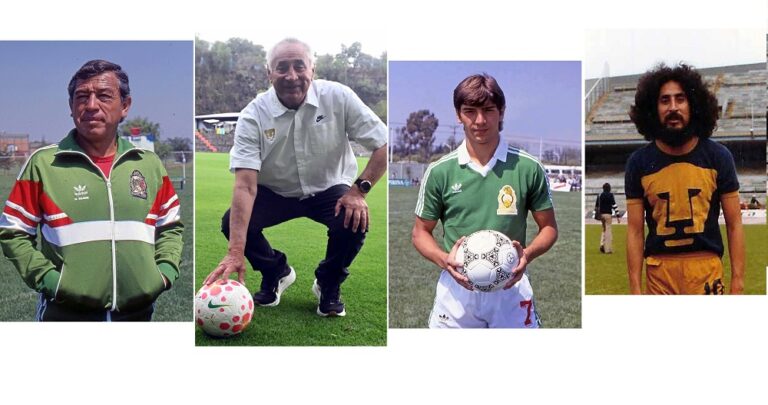 2eda555d91e04a7cae0c58146db97996