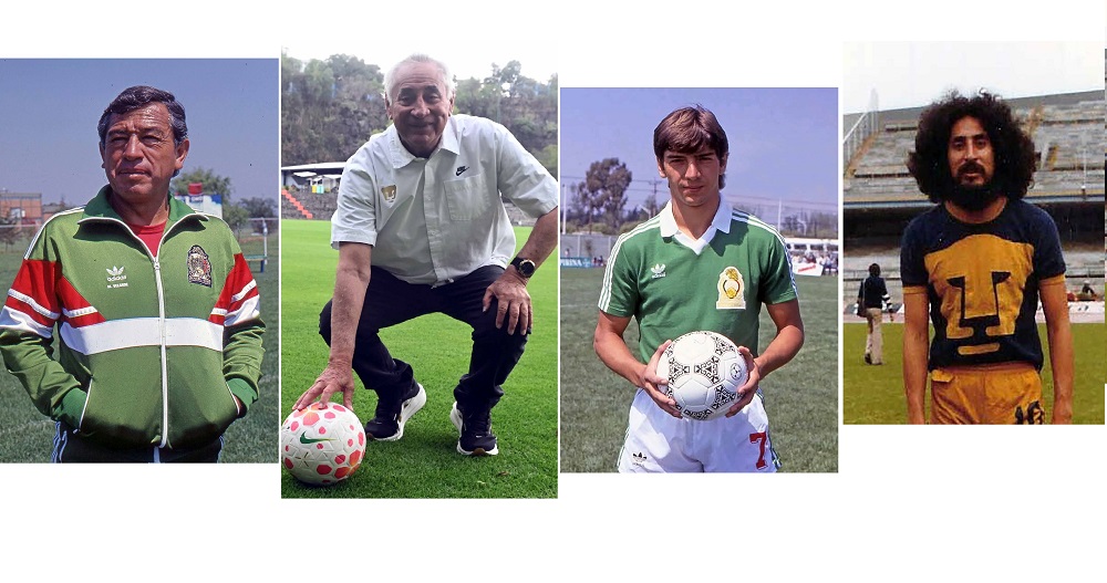 2eda555d91e04a7cae0c58146db97996