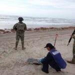 319094ba38f04b6ebf26a9a93de30250