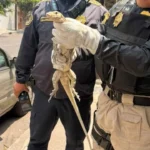 345800b056bb494bbaa5e0e0b370bc77