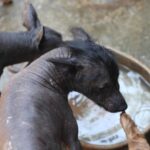 517ebf7a072543a884f17ca9f7bdb0e0