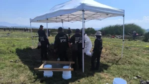 56f985f9ec9545ef871d01d7a23220c2