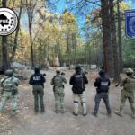 647fe7f01cd4446d9c6e5c5e2588d333