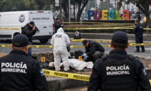 64ab6c912a7944fba61177537c2b2ef7