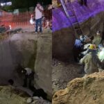 6eeba26cad464d78b10e3cf50655edd7