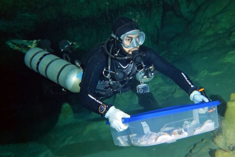 718bea192a2443deb5e9a68b6a436445