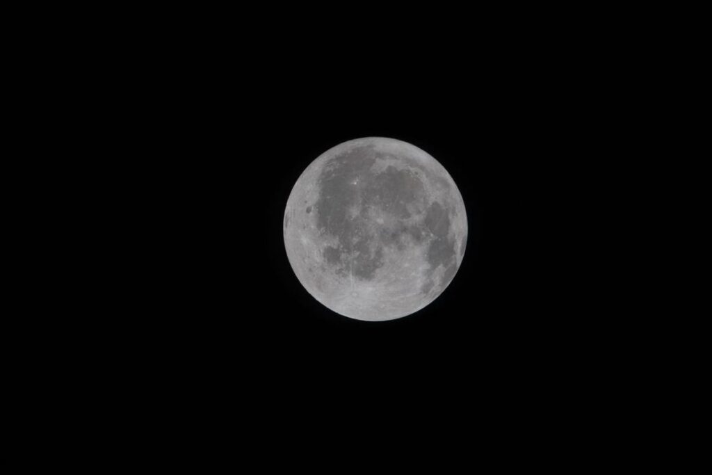 8f515743f4b04fbfb93343adcf484c50