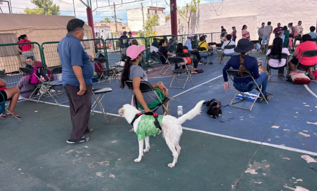 978baab001c64c08bcc599336c63fb47