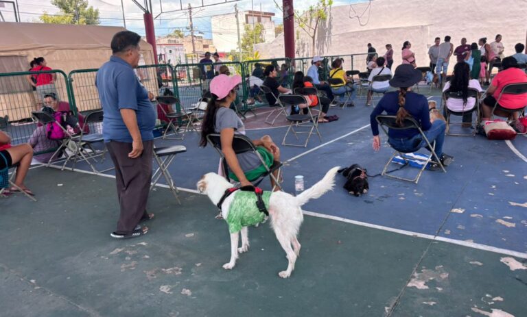 978baab001c64c08bcc599336c63fb47