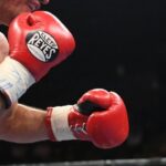 a61d4158953642e2a61fa377ecf7a1b3