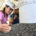 a9454d9d37a541ef9436f13c65d0b82f