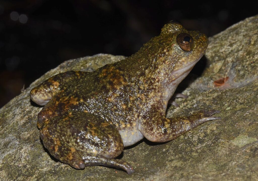 c982725025b144a7ab41f5eb2d4ba665