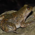 c982725025b144a7ab41f5eb2d4ba665