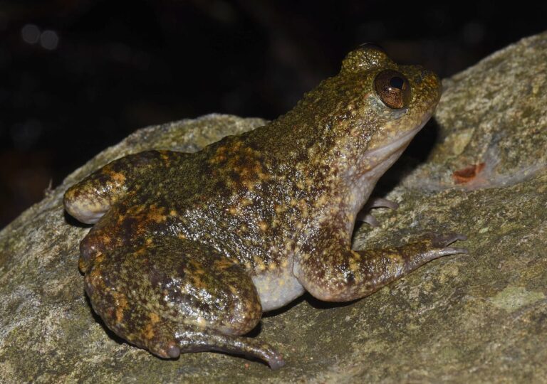 c982725025b144a7ab41f5eb2d4ba665