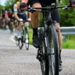 cbab02d89f014b3c8d352925dc9e261e