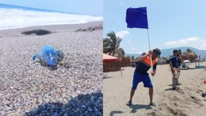 ebb264649a004c4797b02ac2f9b89f86