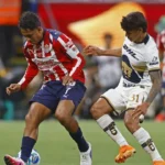 f92b718e84434af4b386ce3946c68d17