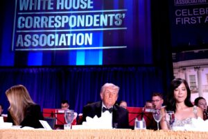 88d8568a97bf4df59125e8a7fc5370cc